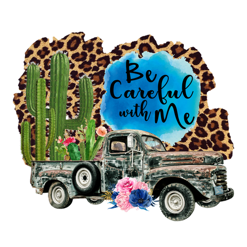 Be Careful With Me Crew Neck