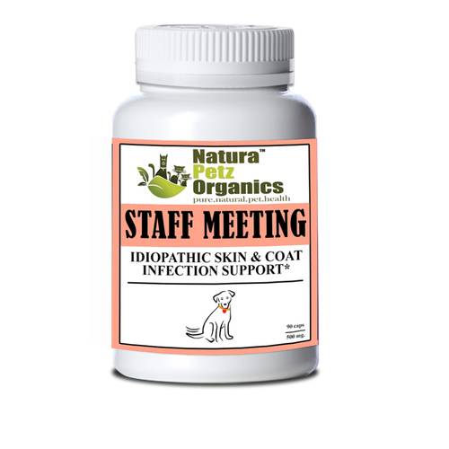 Staff Meeting* Idiopathic Skin & Coat Infection* Support For Dogs And Cats*