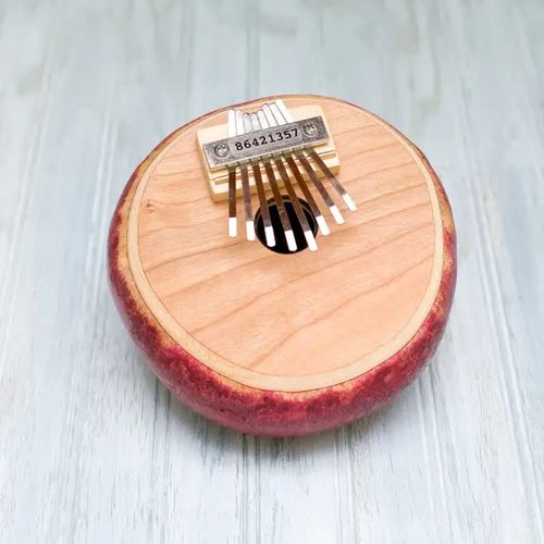 Canteen Thumb Piano