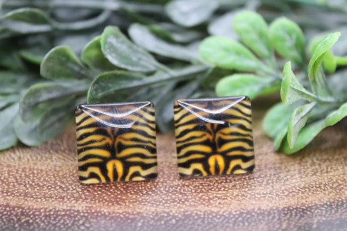 Tiger Square || Stud Earrings || Hypoallergenic