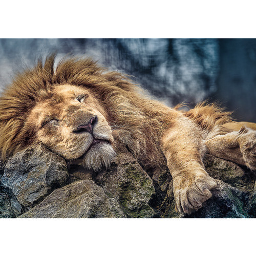 Jigsaw Puzzles - "1000" - Sleeping lion / 500 px