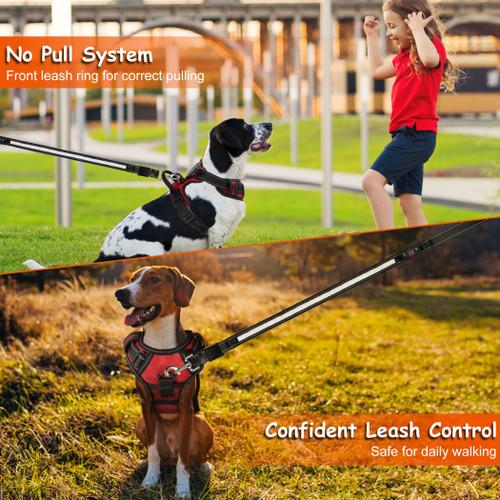 Light Up Dog Harness Rechargeable LED 
