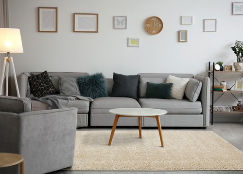 Area Rug