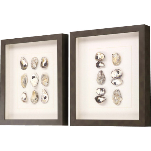 Set Of Two Shell Series S/2 Brown Framed Print Wall Art