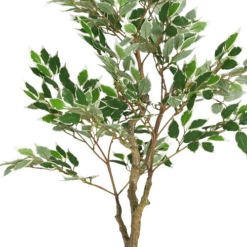 31" Green Artificial Ficus In Cylindrical Black Pot