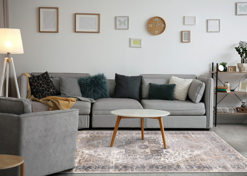Medallion Area Rug
