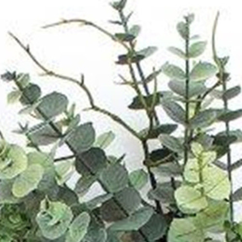9" Green Artificial Eucalyptus