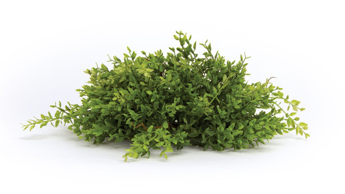 Set of Six 6" Green Artificial