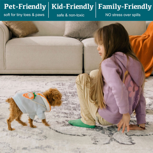 Medallion Distressed Area Rug