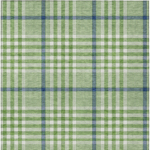 5' X 8' Green And Ivory Plaid Washable Indoor Outdoor Area Rug