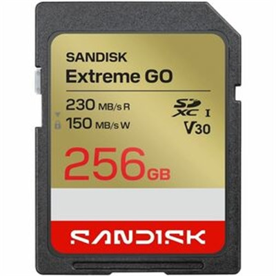 256GB SANDISK Extreme  GO SD