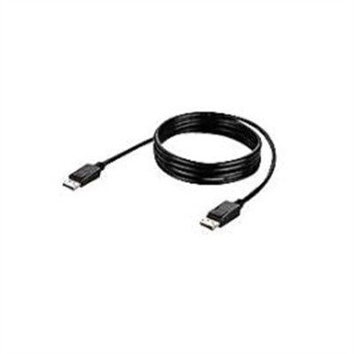 DP DP VIDEO CBL DP M M 10