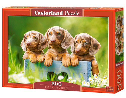 Cute Dachshunds, 500 Piece Jigsaw Puzzle
