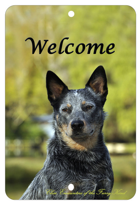 Australian Cattle Dog - Best of Breed Indoor/Outdoor Aluminum Sign 