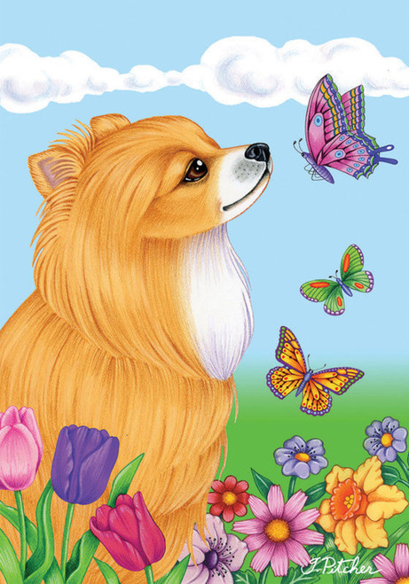 Pomeranian - Best of Breed Butterfly Garden Flag 