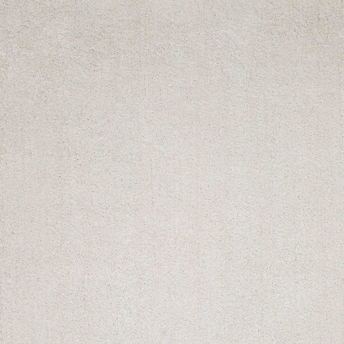 8' X 10' Ivory Indoor Shag Rug