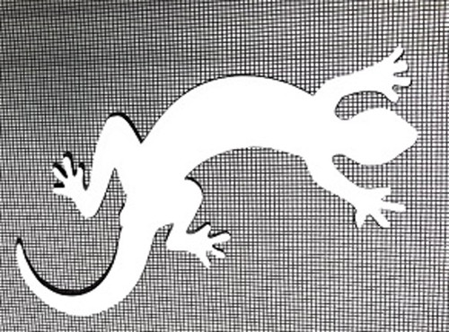 Gecko Flexible Vinyl Screen Magnets