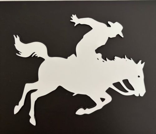 Rodeo Flexible Vinyl Safety Screen Magnets