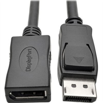 10ft DPort Extension Cable 4K
