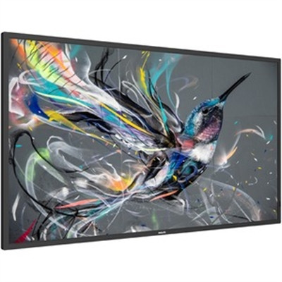 43" Prosumer 18/7 Display