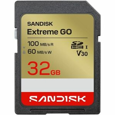 32GB SANDISKExtremeGO SD UHS-I