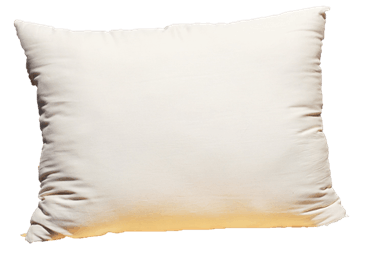 100% GOTS Organic Cotton Pillow w/zip
