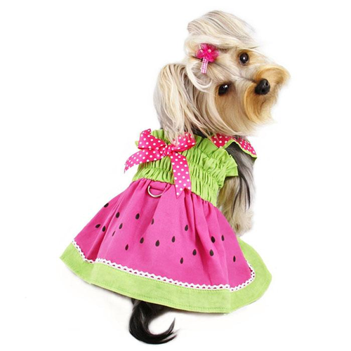 Juicy Watermelon Sundress with Large D-ring 