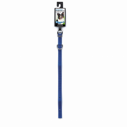 DGR 1/2in Nylon Collar 13-15in Blue