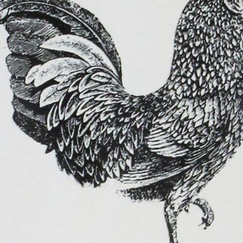 Metal Farm Fresh Chicken Decorative Jug