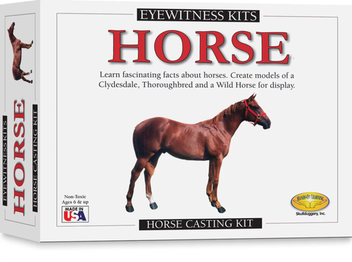 Eyewitness Kit