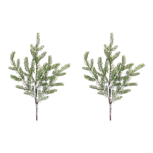 Pine Spray