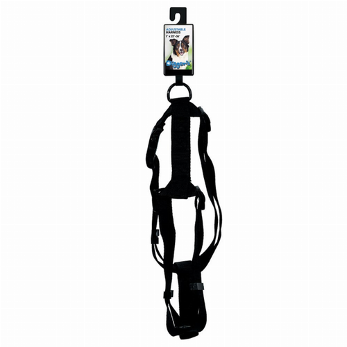 DGR 1in Adjustable Harness