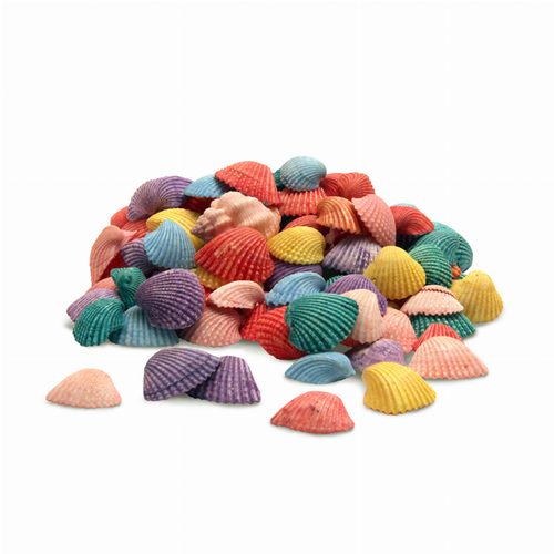 Seashells