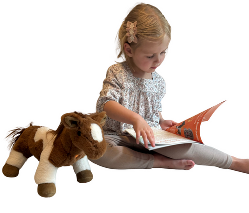 Haylo the Horse Kit