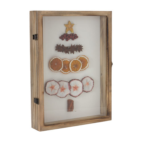 Dried Fruit Tree Shadow Box