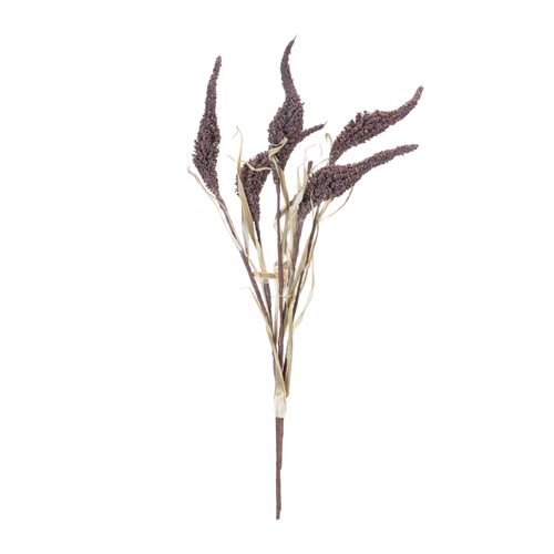 Seeded Harvest Bush