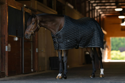 TuffRider Kozy Komfort  Stable Blanket With Diamond Quilting -420 D 200 GSM of fill- Black w/Black/White Trim-87