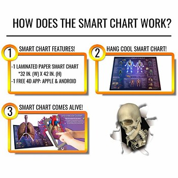 Human Anatomy Smart Chart