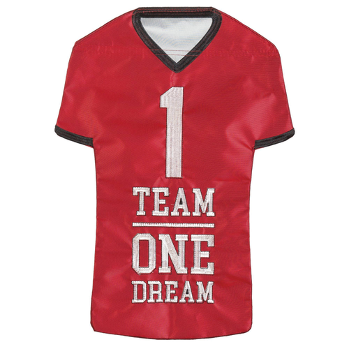 Football Jersey Georgia And Garden Flag