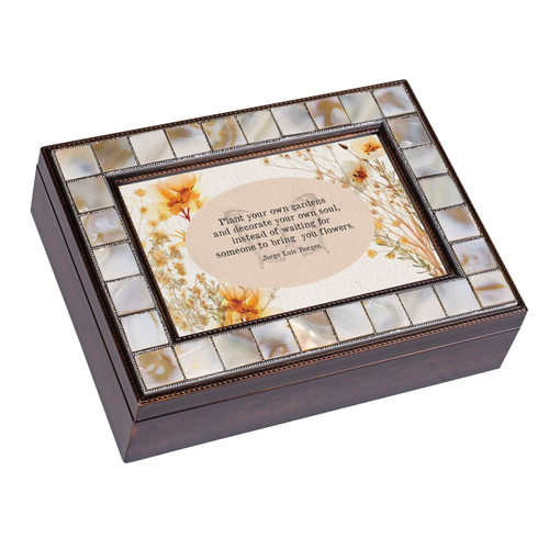 Music Box Mother Of Pearl Plant Your Gardens