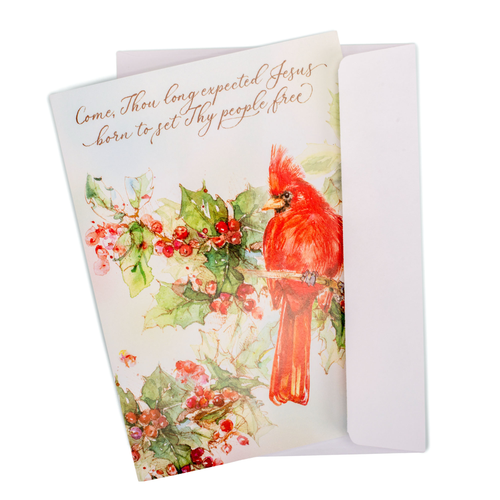 Card Set Christmas Long Expected Jesus