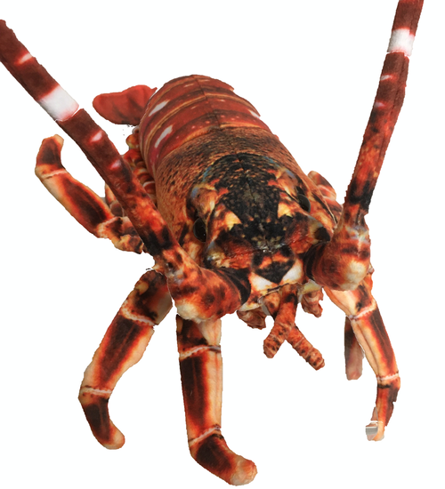 Crawfish Lobster 12.5" Plush Aquatic Stuffed Animal