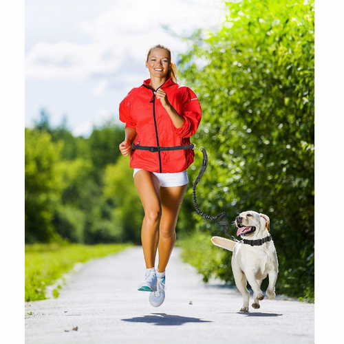 JESPET Hands Free Dog Leash for Running, Walking, Hiking Jogging for Medium & Large Dogs up to 150lbs, Durable Dual Handle Waist Leash with Reflective Bungee and Adjustable Waist