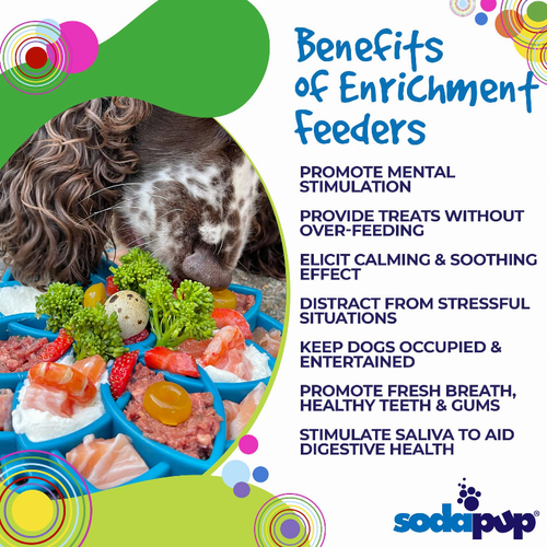 Mandala Design eTray Enrichment Tray for Dogs - 810216026103