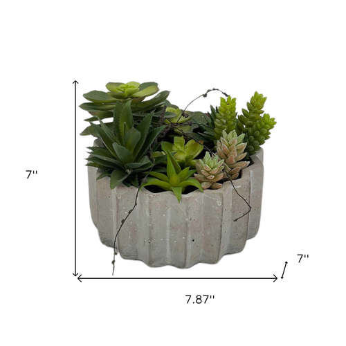 Artificial Succulents in a Gray Planter - 880016444179