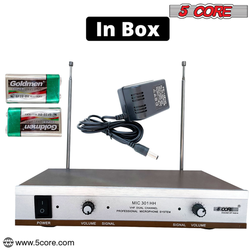 Wireless Microphones w 2 Headset Portable Mini Microfono Inalambricos + Receiver 165ft Range - 810047167402