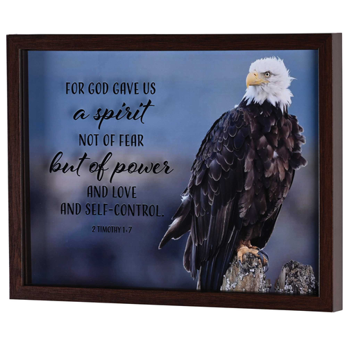 Framed Wall Art Eagle God Gave Us  - 603799755191