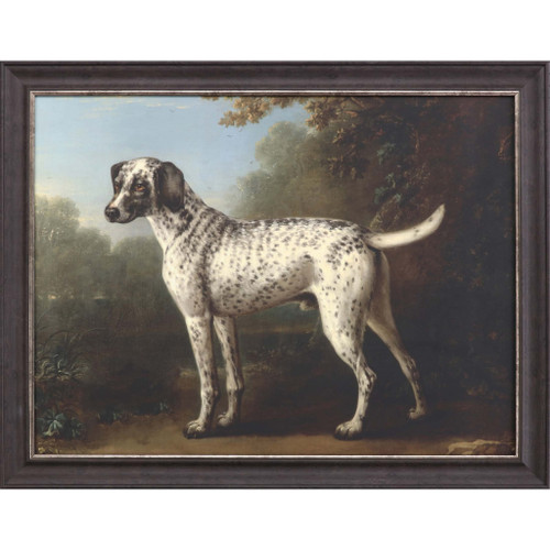 Grey Spotted Hound Framed Art Brown Picture Frame Print Wall Art - 606114162643