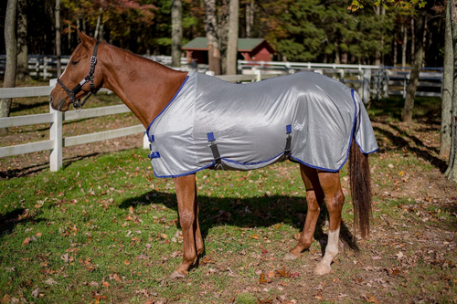 TuffRider Comfy Plus Standard Neck Fly Sheet - 849913077026