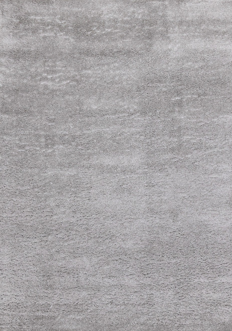 4' X 6' Gray Area Rug - 880016562552